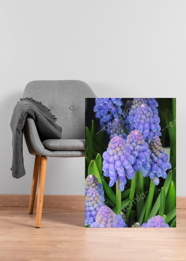 Natura Spring Flower Photo 20x30 inch