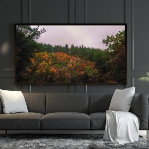 Forest and Tree Colors