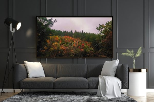 Forest and Tree Colors