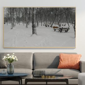 Winter Tree Walking in the Snow