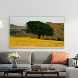 Tree Fields Meadow Grass