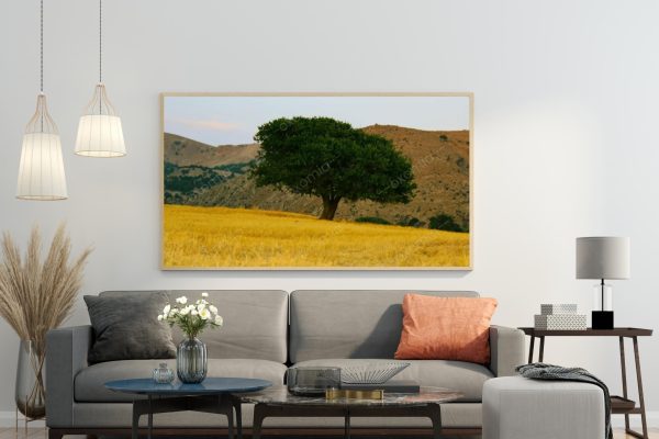 Tree Fields Meadow Grass