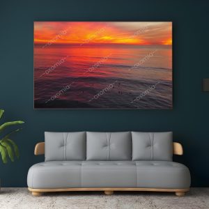 Nature and sunset
