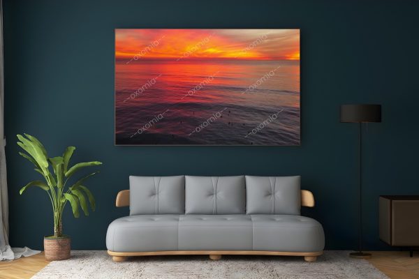 Nature and sunset