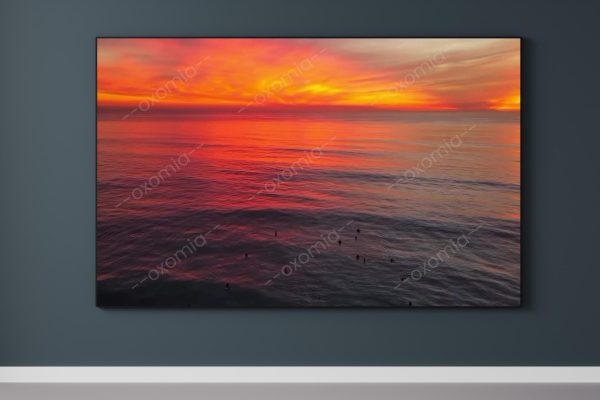 Nature and sunset