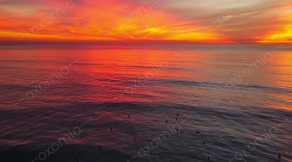Nature and sunset
