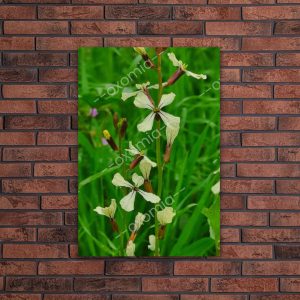 My Garden Green Art
