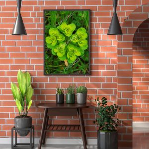 Green Art Photo