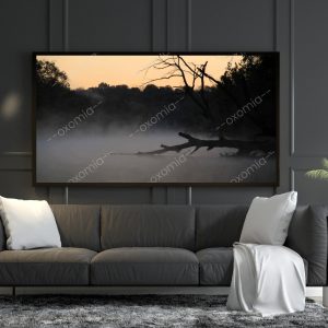 Fog and Lake Sunrise Photo